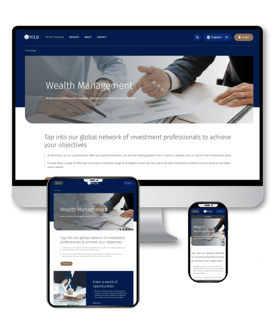 website overview image